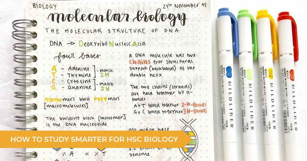How To Study Smarter For HSC Biology